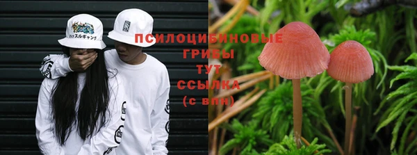 MESCALINE Абаза